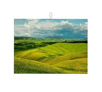 Tappetino per asciugare i piatti da cucina con alberi e paesaggio, piccolo, divertente, 16 x 18 pollici