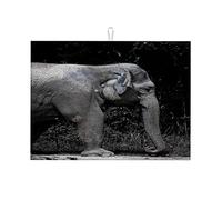 Tappetino per asciugare in microfibra con motivo elefante, safari in Africa, savana, decorazione da cucina, divertente, grande, 18 x 24 pollici