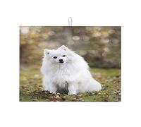 Tappetino per asciugare la pelliccia di cane, cucciolo di cane, bianco, per il piano di lavoro della cucina, piccolo, 16 x 18 pollici