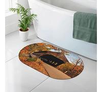 Tappetino per diatomee con stampa ponte coperto Albany, tappetino per a in terra di diatomee, tappetino da bagno antiscivolo ad asciugatura rapida, 19,7x31,5 pollici