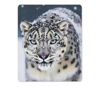 Tappetino per Il Mouse Blue Eyed Snow Leopard Lavabile Tappetino per Mouse Ergonomico Gaming Mousepad per Casa Ufficio Laptop 25X30Cm