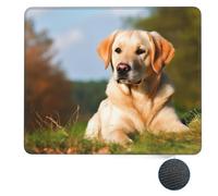 Tappetino per Il Mouse Cute Labrador Dog Lavabile Tappeto Mouse Antipolvere Gaming Mousepad per Pc Laptop Computer 25X30Cm