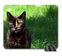 Tappetino per Il Mouse da Gioco, Cat Hunting Field Wild Tortoiseshell Feline Tappetino Mouse Gaming Liscia Tappetini Mouse Bordi Cuciti Tappetino per Mouse per Pc Gaming 25X30Cm