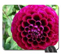 Tappetino per Il Mouse da Gioco, Dahlia Flower Bloom Flower Petals Plant Red Mousepad Ergonomico Tappetini per Il Mouse da Gioco Antiscivolo Tappeto Mouse per Laptop Notebook 25X30Cm