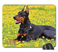 Tappetino per Il Mouse da Gioco, Doberman Dog Nature Tappetino per Mouse Antipolvere Tappetino Mouse Gaming Liscia Tappetino Mouse Pad per Pc Notebook 25X30Cm