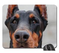 Tappetino per Il Mouse da Gioco, Doberman Dog Portrait Facial Eyes Tappetini Mouse Confortevole Tappetino Mouse Pad Personalizzato Gaming Tappetino Mouse per Gaming Computer 25X30Cm