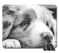 Tappetino per Il Mouse da Gioco, Dog Australian Shepherd Aussie Puppy Closeup Makro Tappeto Mouse Pratica Tappetino per Mouse Liscia Tappetino Mouse Gaming per Laptop Computer 25X30Cm