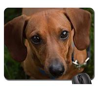 Tappetino per Il Mouse da Gioco, Dog Canine Cute Puppy Pet Dachshund Adorable Mousepad Ergonomico Tappeto Mouse Bordi Cuciti Gaming Mousepad per Notebook Casa 25X30Cm