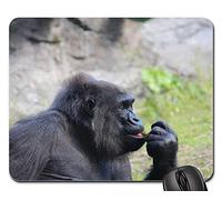 Tappetino per Il Mouse da Gioco, Gorilla Zoo Animal Monkey Primate Tampone per Mouse Bordi Cuciti Tappetino Mouse Gaming Ergonomico Mouse Pad per Computer Casa 25X30Cm
