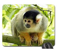 Tappetino per Il Mouse da Gioco, Monkey Animal Wild Zoo Look Marmoset Monky Gaming Pad Personalizzato Tappetino Mouse Pad Confortevole Gaming Tappetino Mouse per Notebook Laptop 25X30Cm