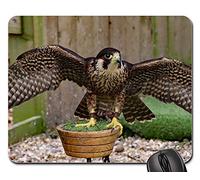 Tappetino per Il Mouse da Gioco, Peregrine Falcon Bird Predator Raptor Prey Tappetini per Il Mouse da Gioco Bordi Cuciti Tappetino per Mouse Antiscivolo Mousepad per Computer Gaming 25X30Cm