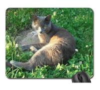 Tappetino per Il Mouse da Gioco, Russian Blue Cat Tomcat in Free Cat in The Grass Tappetino Mouse Gaming Antiscivolo Gaming Pad Ergonomico Tappetini per Il Mouse da Gioco per Notebook 25X30Cm