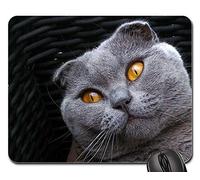 Tappetino Per Il Mouse Da Gioco, Scottish Fold Breed Cat Cat Kitten Gray Animals Mouse Pad Antiscivolo Gaming Tappetino Mouse Personalizzato Tappetini Per Il Mouse Per Gaming Ufficio 25X30Cm