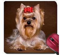 Tappetino per Il Mouse da Gioco, Yorkshire Terrier Puppy On Background Gaming Tappetino Mouse Ergonomico Tappetino per Mouse Base in Gomma Tappetini Mouse per Computer Notebook 25X30Cm