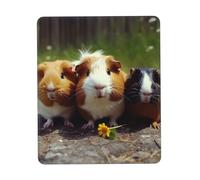 Tappetino per Il Mouse Guinea Pigs Funny Personalizzato Tappetino per Mouse Multifunzionale Gaming Mousepad per Laptop Computer Notebook 25X30Cm