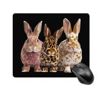 Tappetino per Il Mouse Leopard Easter Bunny Personalizzato Tappetino Mouse Antiscivolo Gaming Mousepad per Pc Ufficio Casa 25X30Cm
