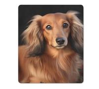Tappetino per Il Mouse Long Haired Dachshund Lavabile Tappetino per Mouse Ergonomico Gaming Mousepad per Notebook Pc Ufficio 25X30Cm