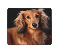 Tappetino per Il Mouse Long Haired Dachshund Lavabile Tappeto Mouse Antipolvere Gaming Mousepad per Computer Ufficio Laptop 25X30Cm