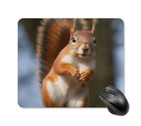 Tappetino per Il Mouse Squirrel Funny Animal Superficie Liscia Tampone per Mouse Bordi Cuciti Gaming Mousepad per Ufficio Casa Pc 25X30Cm