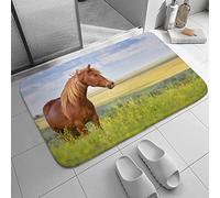Tappetino per Ingressi Brown Horse Tappeto da Terra Assorbente Lavabile Zerbino da Esterno, per Ingresso, Cucina, Soggiorno, 40x60cm