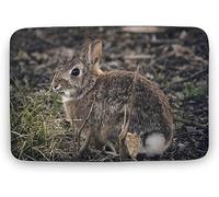 Tappetino per Ingressi Rabbit Dont Tell Me What To Do Tappeto da Terra Lavabile Assorbente Zerbino da Interni, per Interno, Soggiorno, Bambini, 40x60cm