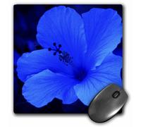 Tappetino per mouse 3dRose LLC 8 x 8 x 0,25 pollici Big Blue Hibiscus (mp_7817_1)