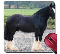 Tappetino per Mouse, A Black Shire Horse Stands Still in An Arena Tappetino per Il Mouse da Gioco Antiscivolo Mousepad Multifunzionale Tappetini per Il Mouse per Gaming Notebook 25X30Cm