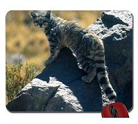 Tappetino per mouse Andean Mountain Cat