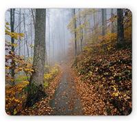 Tappetino per Mouse Appalachian Trail Foggy Mysterious And Autumn Botanical Scenery Trees And Leaves Tappetino Mouse Gaming Confortevole Sottomano, per Computer, Casa, Gaming Mouse, 25x30cm