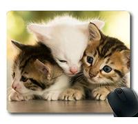 Tappetino per mouse, Baby Animal Kitten Animal Mouse mouse pad, Tappetino per mouse per computer cat028