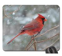 Tappetino per Mouse, Bird Cardinal Male Snow Winter Red Winter Mood Tappeto Mouse Confortevole Tappetino Mouse Pad Pratica Tappetini Mouse per Gaming Ufficio 25X30Cm