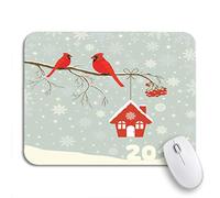 Tappetino Per Mouse Blue Cute Red Cardinal Bird Birdhouse On Branch Tappetino Mouse Antipolvere Facile Da Pulire Tappetino Mouse Pad, Per Computer, Laptop, 25 x 30cm