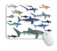 Tappetino per Mouse Blue Whale Shark Species Reef Aquatic Life Fin Miscellaneous Tappetino Mouse Personalizzato Portatile Tappetino per Il Mouse Antiscivolo, per Gaming Mouse, Casa, 25 x 30cm