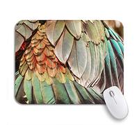 Tappetino per Mouse Colorful Animal Parrot Feathers Green Bird Close Color Exotic Tappetino Mouse Impermeabile Tappetino per Il Mouse Antiscivolo, per Scrivania, Computer, 25 x 30cm