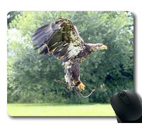 (Tappetino per mouse con blocco di precisione) Bird Of Prey Birds Nature Eagle White Tailed Eagle Gaming tappetino per mouse per mac o computer