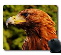 (Tappetino per mouse con blocco di precisione) Eagle Bird Predator Detail Beak Gaming tappetino per mouse per mac o computer