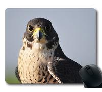 (Tappetino per mouse con blocco di precisione) Hawk Nature Hunting Eagle Bird Show Gaming tappetino per mouse per mac o computer