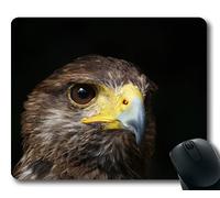 (Tappetino per mouse con blocco di precisione) Royal Eagle Bird Raptor Wild Animal Gaming tappetino per mouse per mac o computer