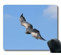 (Tappetino per mouse con bordo di precisione) Cileno Blue Eagle Bird Aquila cilena Flying Wild Gaming tappetino per mouse per mac o computer