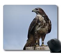(Tappetino per mouse con bordo di precisione) Eagle Bird Of Prey Uccello Animale Helmsley Gaming tappetino per mouse per mac o computer