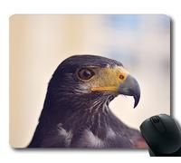 (Tappetino per mouse con bordo di precisione) Eagle Bird Predator Uccello rapace Ritratto Gaming per animali Mouse pad per computer o computer