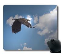 (Tappetino per mouse con bordo di precisione) White Tailed Eagle Kummerower Lake Gaming tappetino per mouse per mac o computer