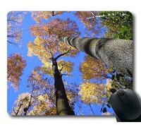 (Tappetino per mouse con chiusura a scatto di precisione) Alberi Look Up Forest Sky Natura Astratto Gaming tappetino per mouse per mac o computer