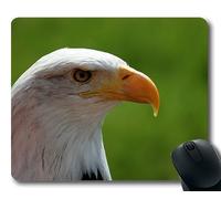 (Tappetino per mouse con chiusura a scatto di precisione) Bald Eagle Portrait White Tailed Eagle Adler Raptor Gaming tappetino per mouse per mac o computer