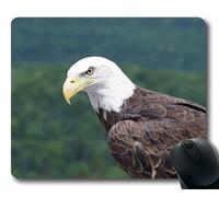 (Tappetino per mouse con chiusura a scatto di precisione) Bird American Eagle Raptor Gaming tappetino per mouse per mac o computer