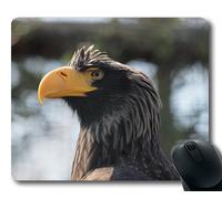 (Tappetino per mouse con chiusura a scatto di precisione) Eagle Bird Zoo Gaming tappetino per mouse per mac o computer