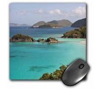 Tappetino per mouse con finitura opaca 3D Rose """"USVI St John Popular Trunk BayCa37 Tdr0020Trish Drury"""" - 8 x 8"""" - mp_134960_1