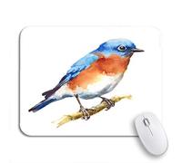 Tappetino per Mouse da Gioco Blue Painting Watercolor Bird Bluebird Branch Beautiful Cute Drawn Sottomano Portatile Impermeabile Tappetino per Il Mouse Antiscivolo, per Ufficio, Casa, 25 x 30cm