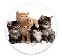 Tappetino per Mouse da Gioco Family Cats Tappetino Mouse Pad Personalizzato Facile da Pulire Mousepad, per Scrivania, Casa, Gaming, 20cm