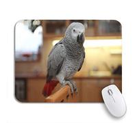 Tappetino Per Mouse Da Gioco Gray Animal African Grey Parrot On Perch Beak Bird Tappetini Mouse Base Antiscivolo In Gomma Antipolvere Tappetino Mouse Piccolo, Per Casa, Computer, 25 x 30cm